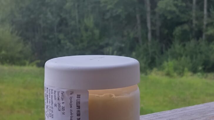 BIO Liellopu nieru tauki, kausēti